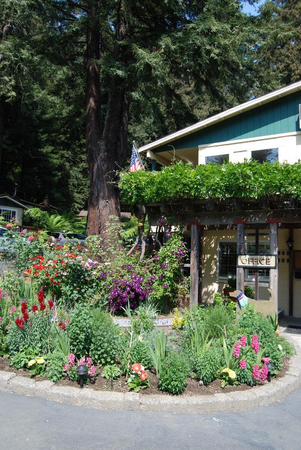 גרנוויל Fern Grove Cottages מראה חיצוני תמונה