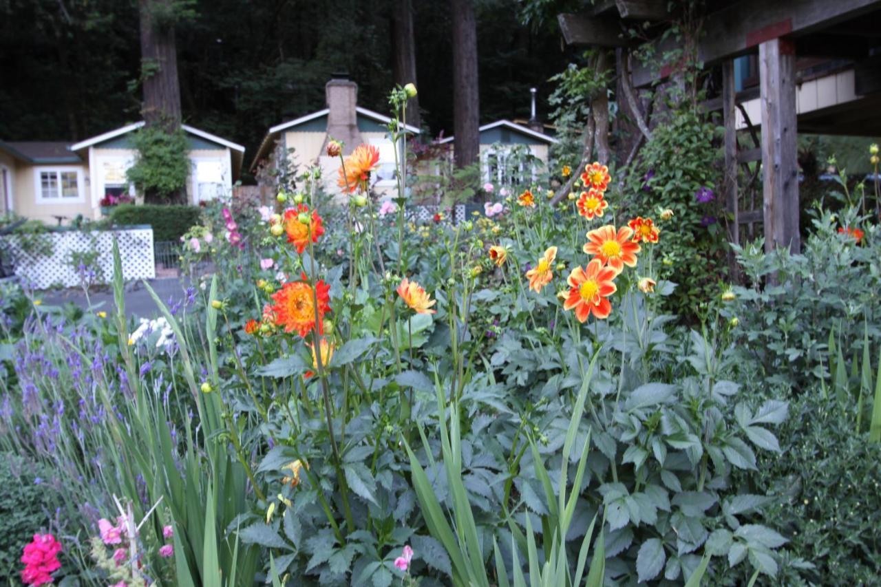 גרנוויל Fern Grove Cottages מראה חיצוני תמונה